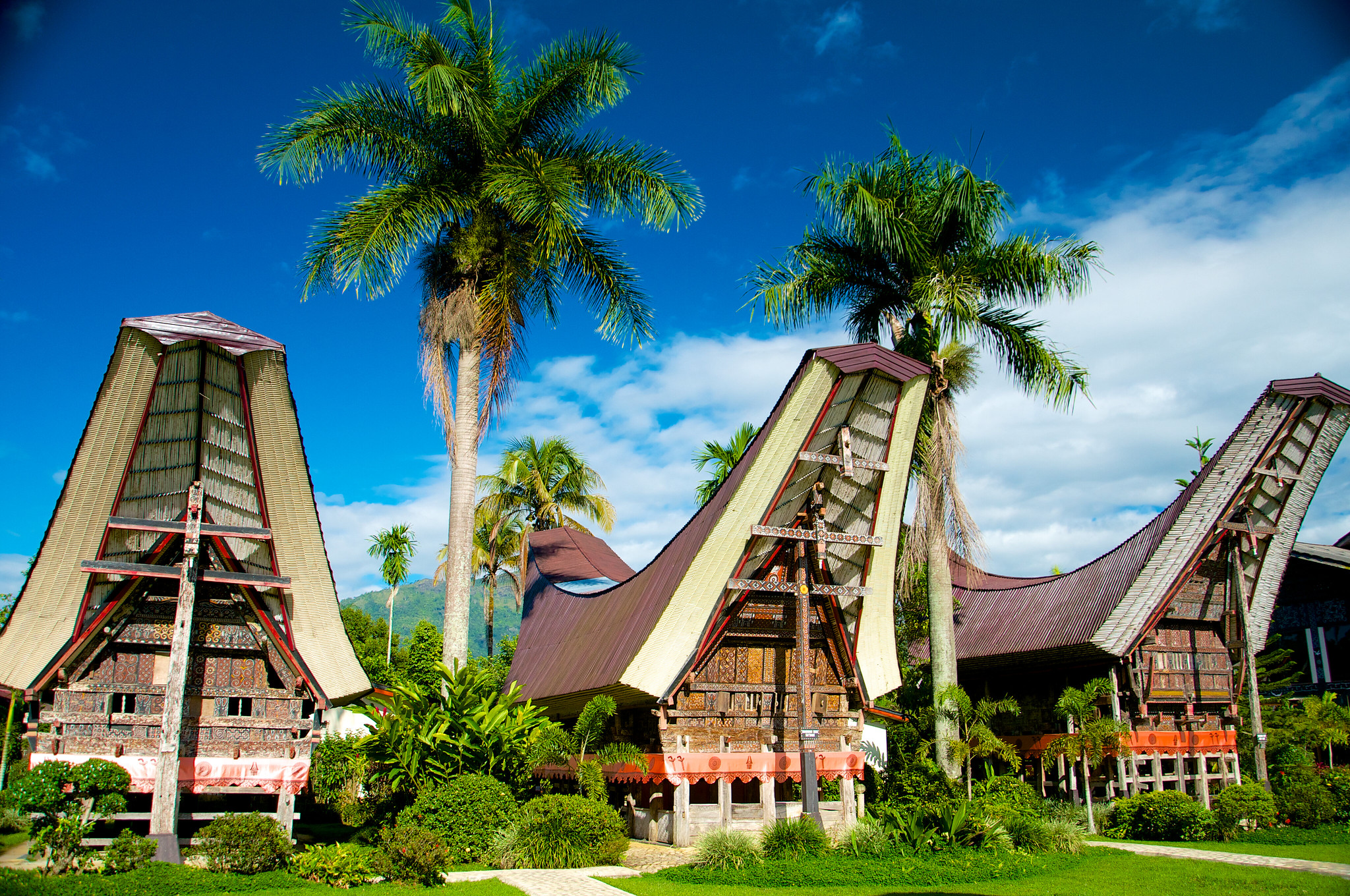 Bangunan-Tradisional-Khas-Tana-Toraja-@himsaifanah