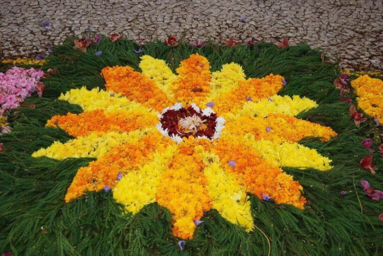 festival-bunga-perayaan-keindahan-alam-di-festa-da-flor