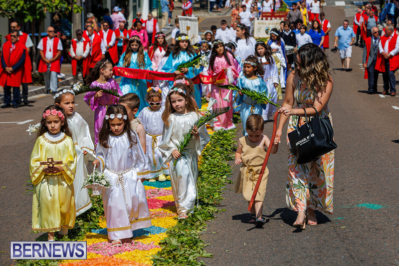 festival-festa-do-senhor-santo-cristo-dos-milagres-tradisi-dan-perayaan-di-brasil