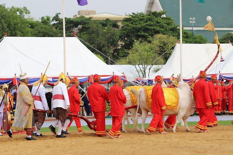 festival-adonan-sokheng-perayaan-tradisional-yang-meriah