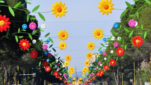 festival-dita-e-veres-perayaan-musim-panas-di-albania
