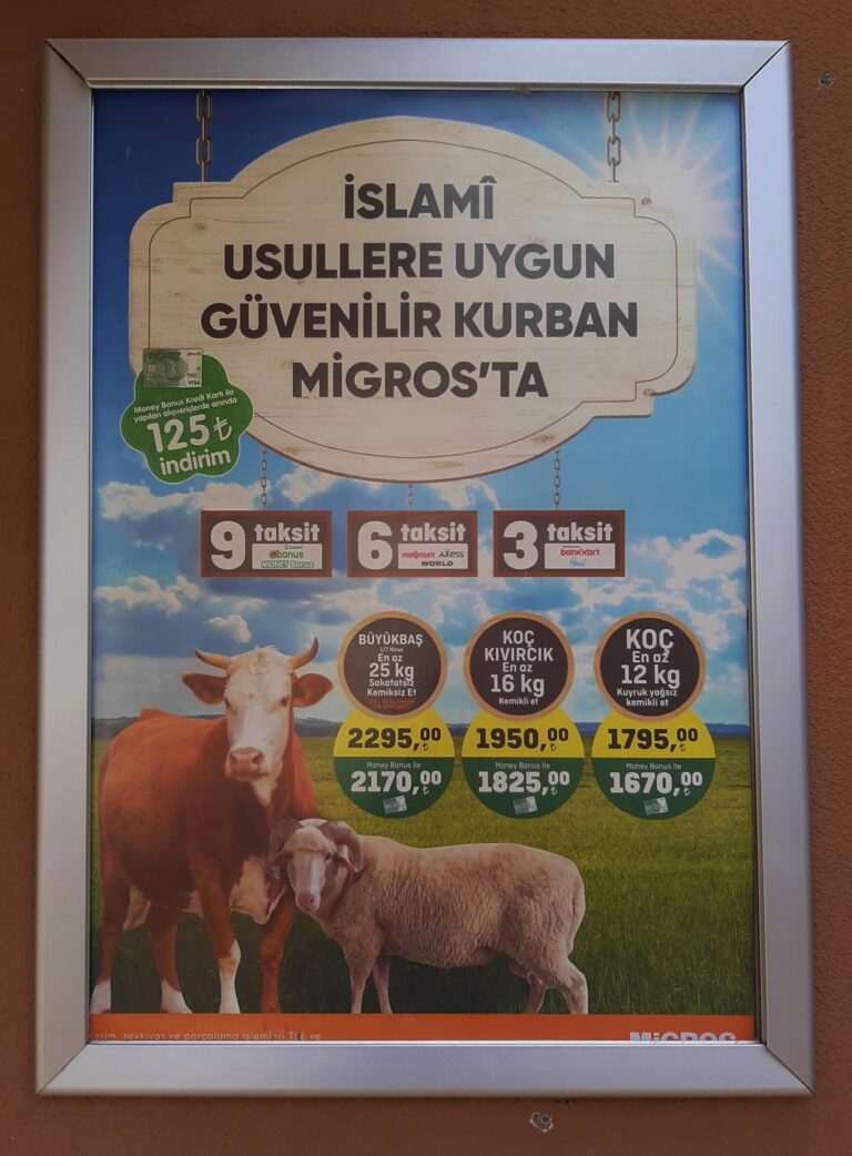 festival-kurban-bayrami-tradisi-berkurban-dan-perayaannya