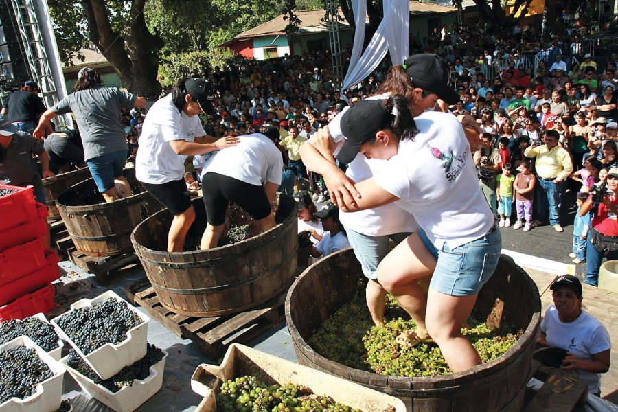 festival-panen-anggur-vendimia-perayaan-tradisional-dan-budaya