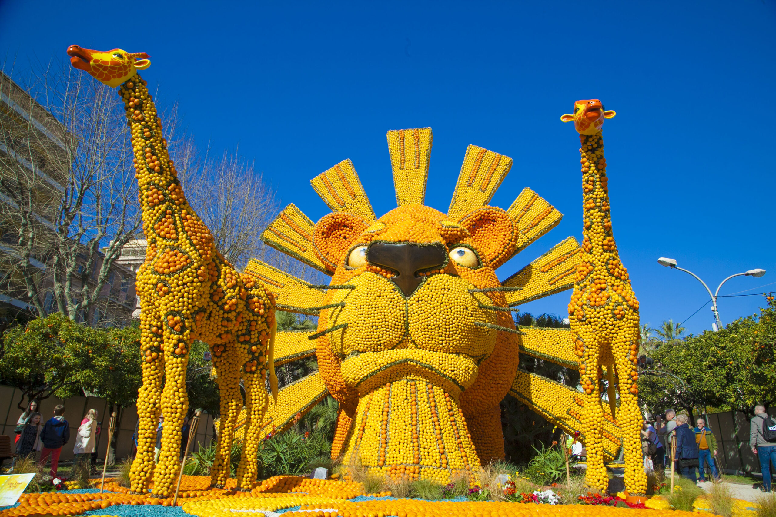 festival-lemon-menton-perayaan-warna-warni-sitrun-di-prancis