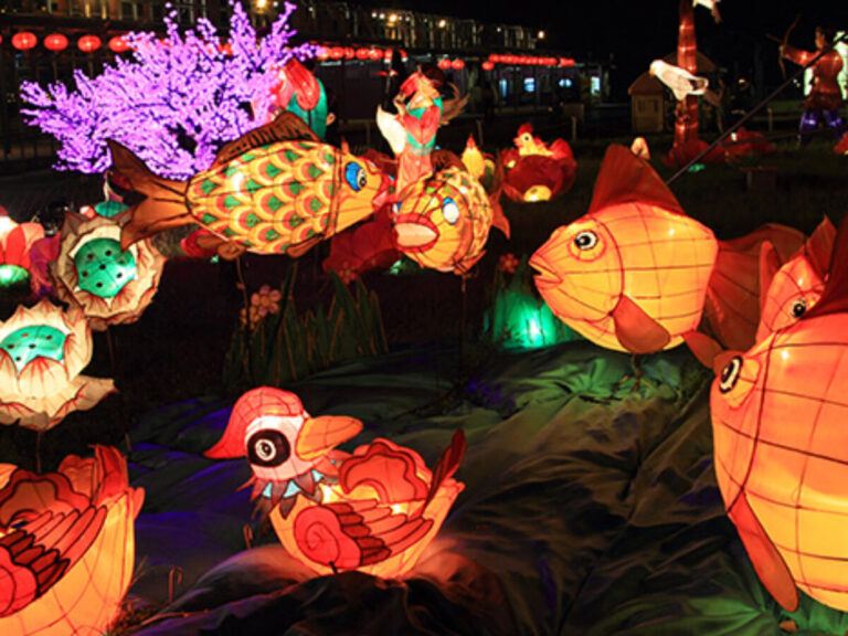 festival-pertengahan-musim-gugur-tradisi-dan-perayaan-tet-trung-thu