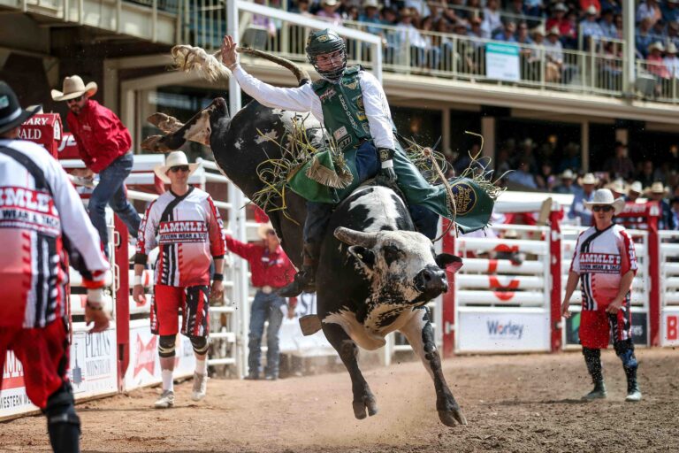 mengenal-calgary-stampede-festival-rodeo-dan-budaya-alberta