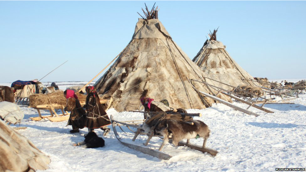 festival-penggembala-rusa-kutub-tradisi-dan-keunikan-budaya-arctic