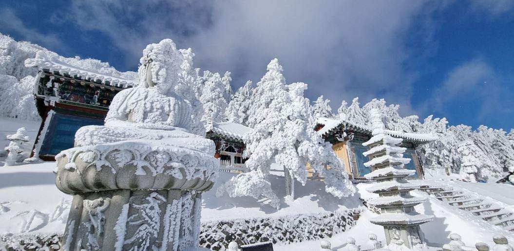 festival-salju-taebaeksan-perayaan-musim-dingin-yang-menawan