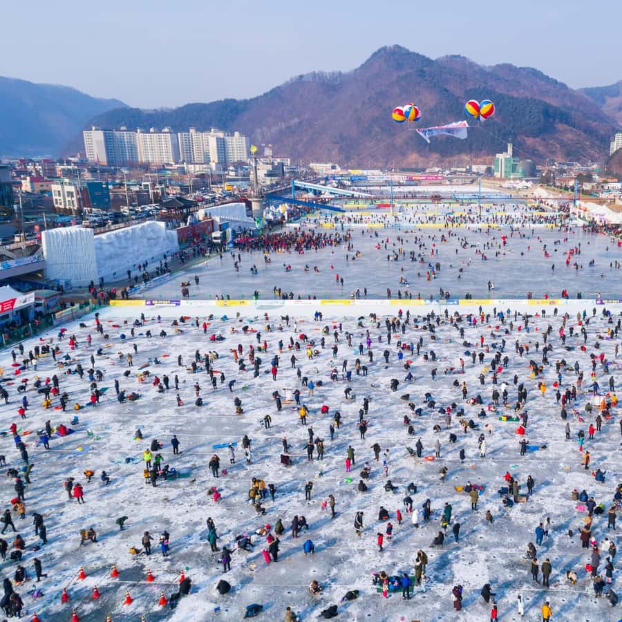 festival-es-dan-salju-hwacheon-sancheoneo-perayaan-musim-dingin-korea
