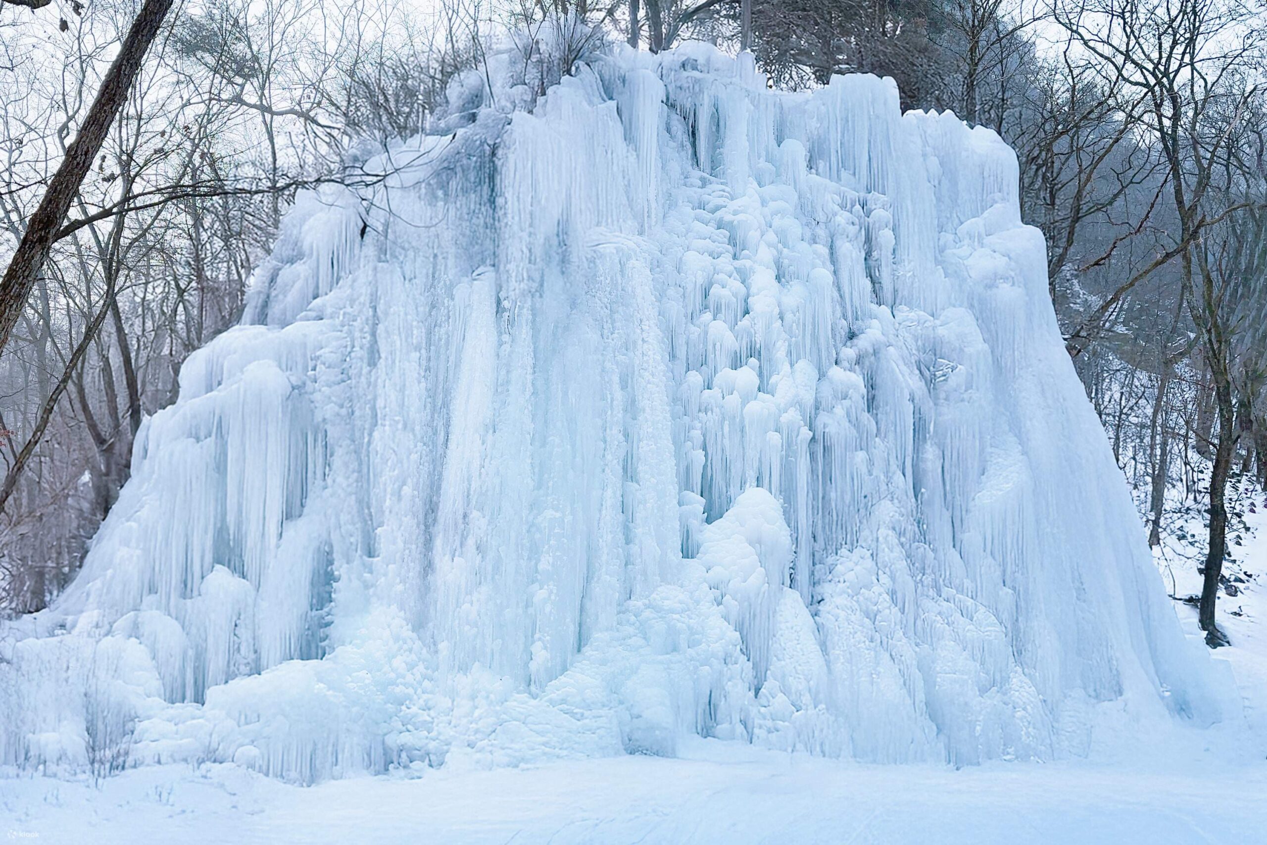 festival-es-hwacheon-sancheoneo-perayaan-ikan-salju-musim-dingin