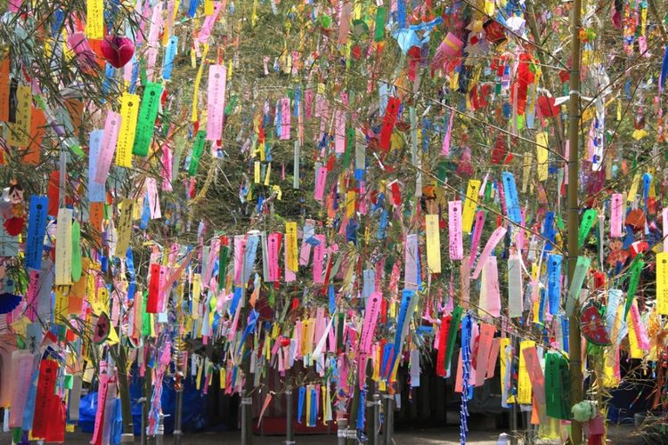 mengenal-tradisi-dan-keindahan-festival-tanabata-matsuri-di-jepang